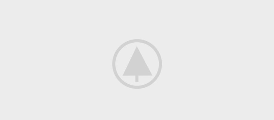wood-gallery-placeholder-5 wood-gallery-placeholder-5